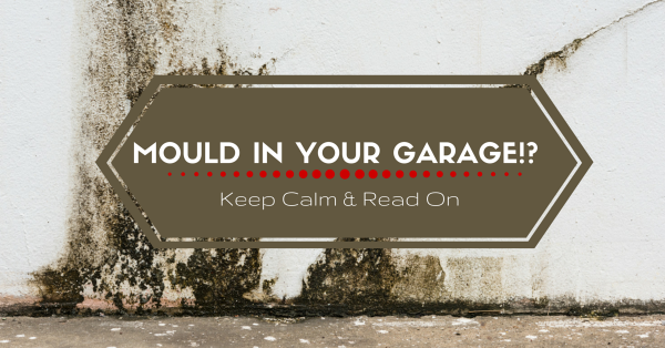 Dealing with Mould in Your Garage
