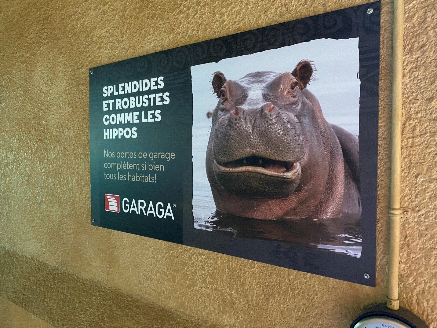 Garaga is proud to contribute to the well‑being of the Granby Zoo's hippos with its panoramic garage doors