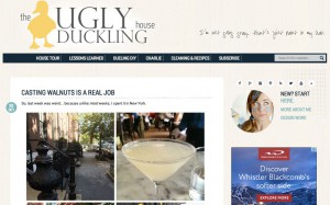 The Ugly Duckling House