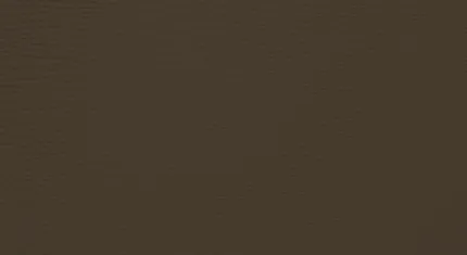 Brown swatch