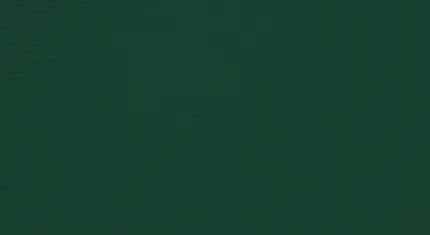 Green swatch