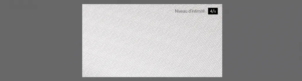 Verre Screen, 40" x 13", disponible pour la porte R-16