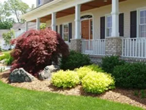Front yard
