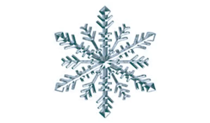 Flocon de neige