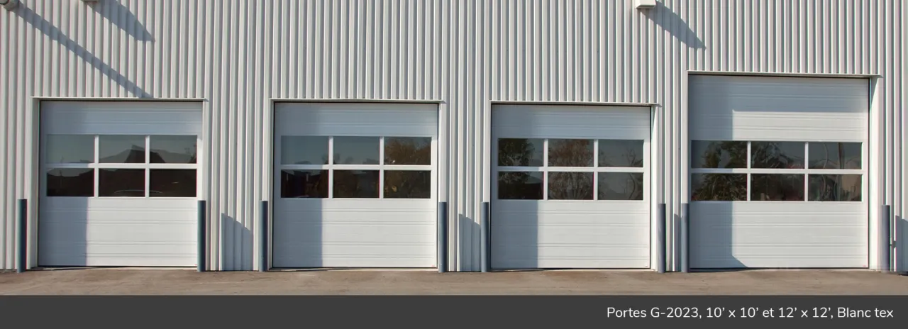 Portes G-5000, 20' x 20', Argent