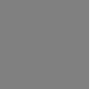 Couleur de profilé d'aluminium Charbon pour porte de garage G-4400