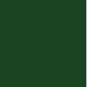 Couleur de profilé d'aluminium Vert conifère pour porte de garage G-4400