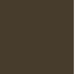 Couleur de profilé d'aluminium Brun commercial pour porte de garage G-4400